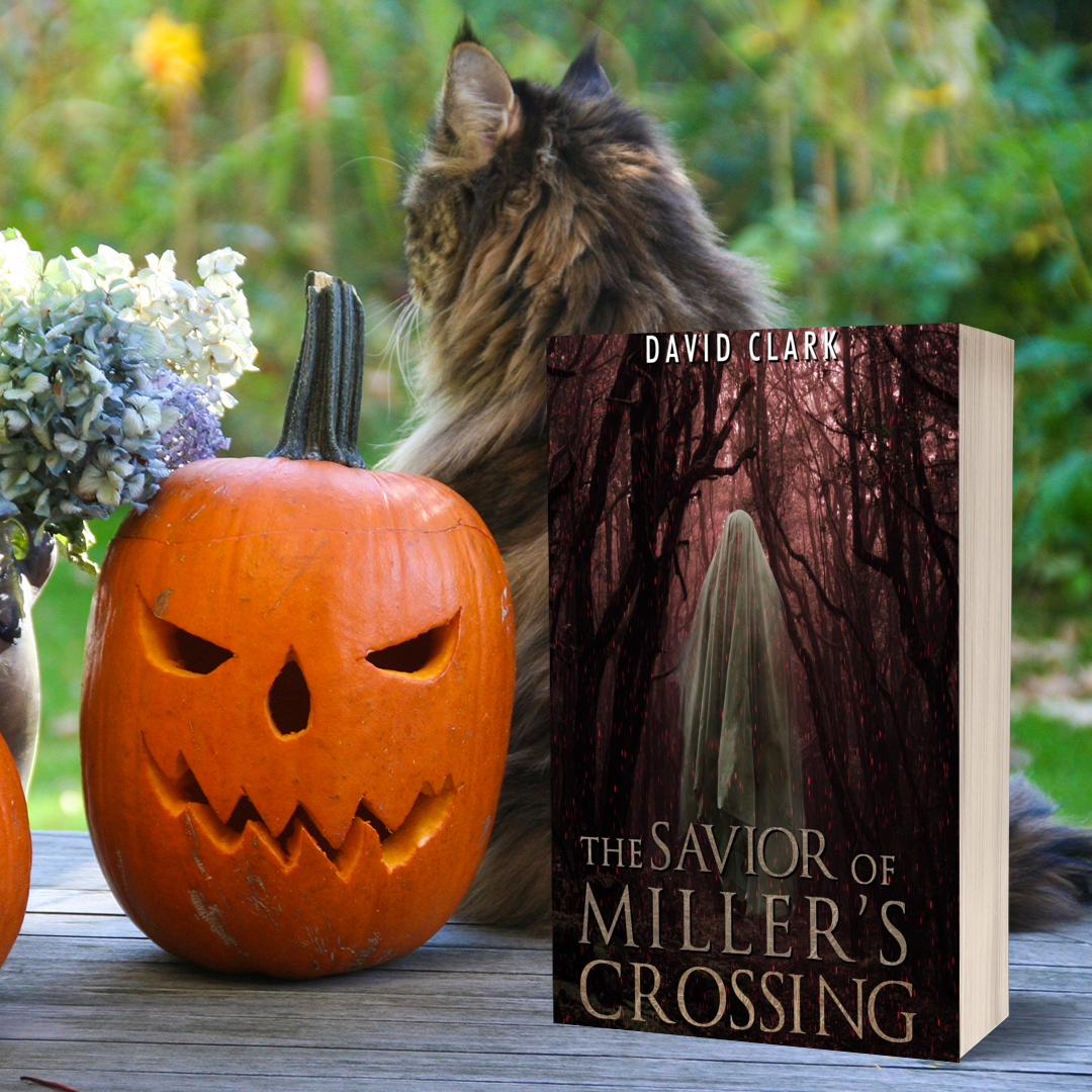 The Savior of Miller's Crossing (Miller's Crossing Book 5) - Paperback