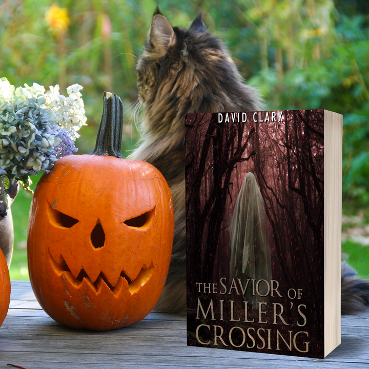 The Savior of Miller's Crossing (Miller's Crossing Book 5) - Paperback
